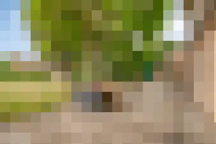 Nassaustraat 12 Terneuzen thumbnail 39