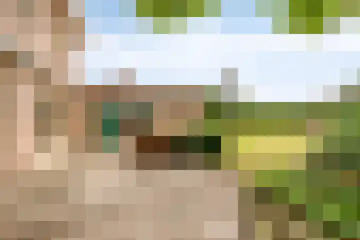 Nassaustraat 12 Terneuzen thumbnail 4