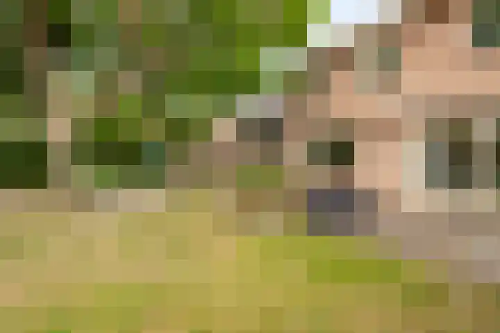 Nassaustraat 12 Terneuzen thumbnail 40