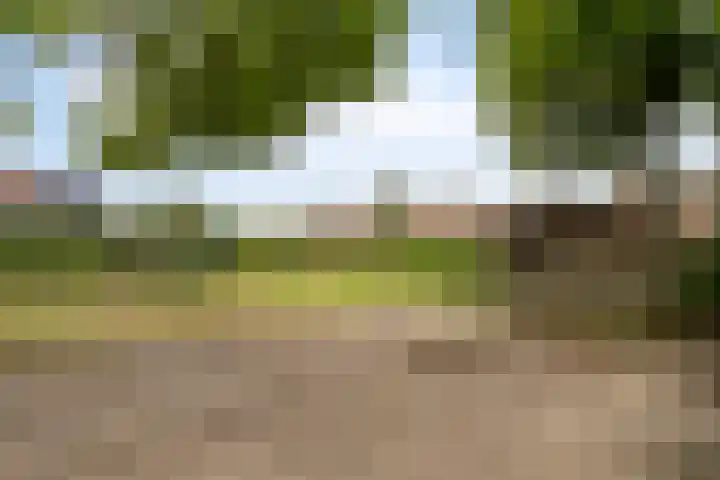 Nassaustraat 12 Terneuzen thumbnail 42