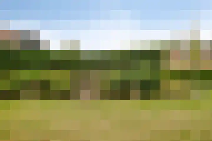 Nassaustraat 12 Terneuzen thumbnail 43