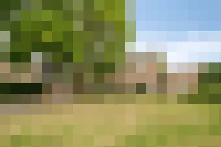 Nassaustraat 12 Terneuzen thumbnail 44