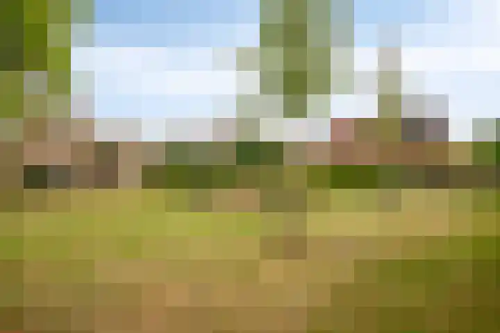 Nassaustraat 12 Terneuzen thumbnail 45