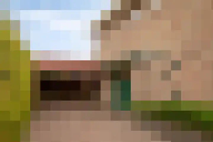 Nassaustraat 12 Terneuzen thumbnail 6