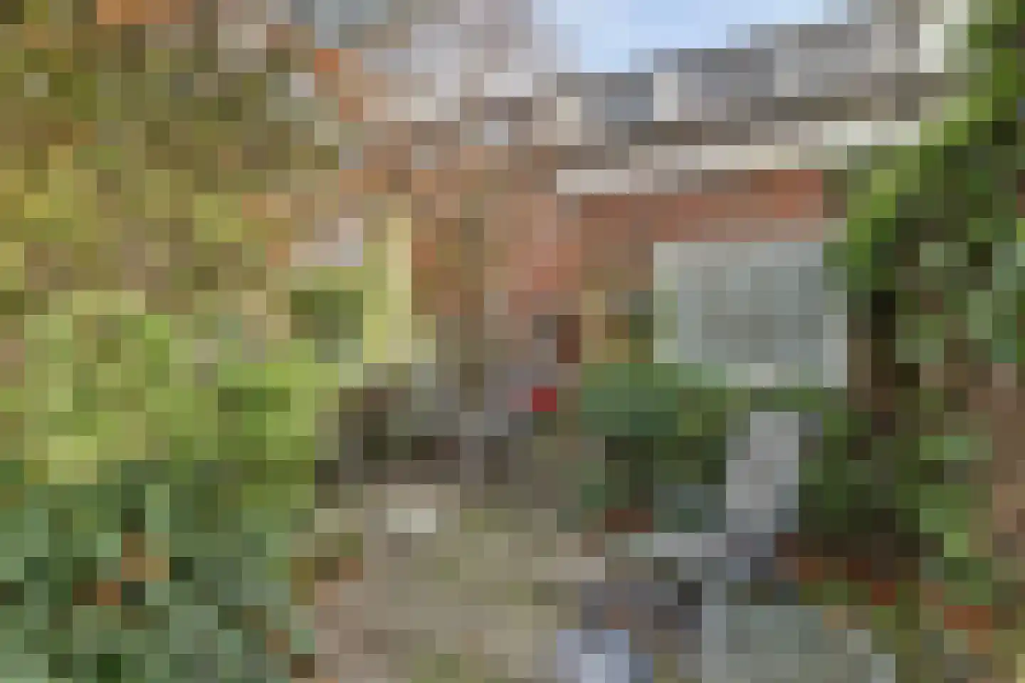 Nassaustraat 124 Ridderkerk thumbnail 25