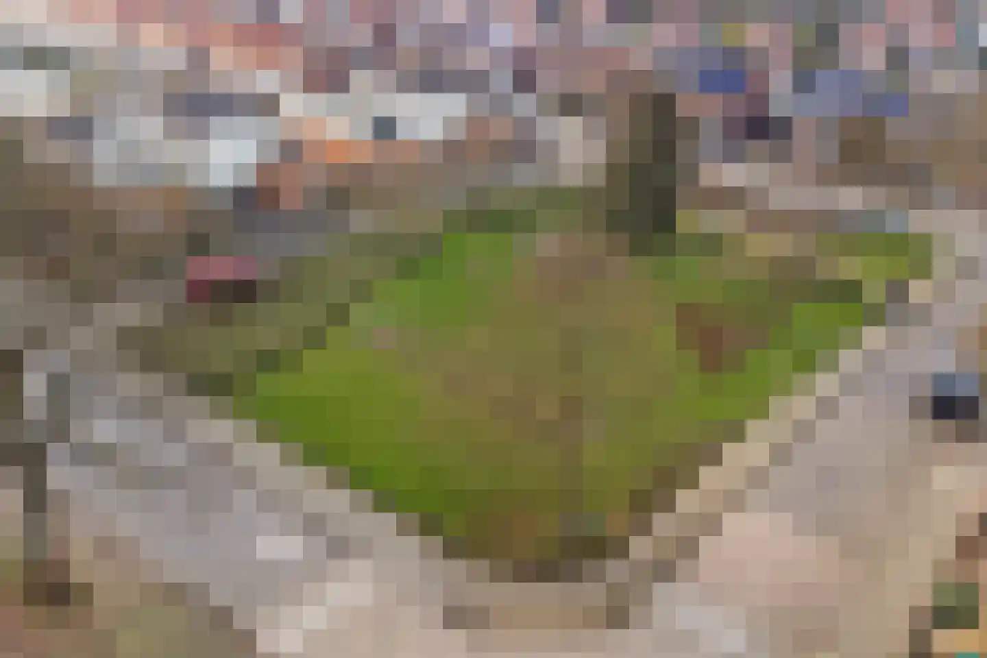 Nassaustraat 124 Ridderkerk thumbnail 31