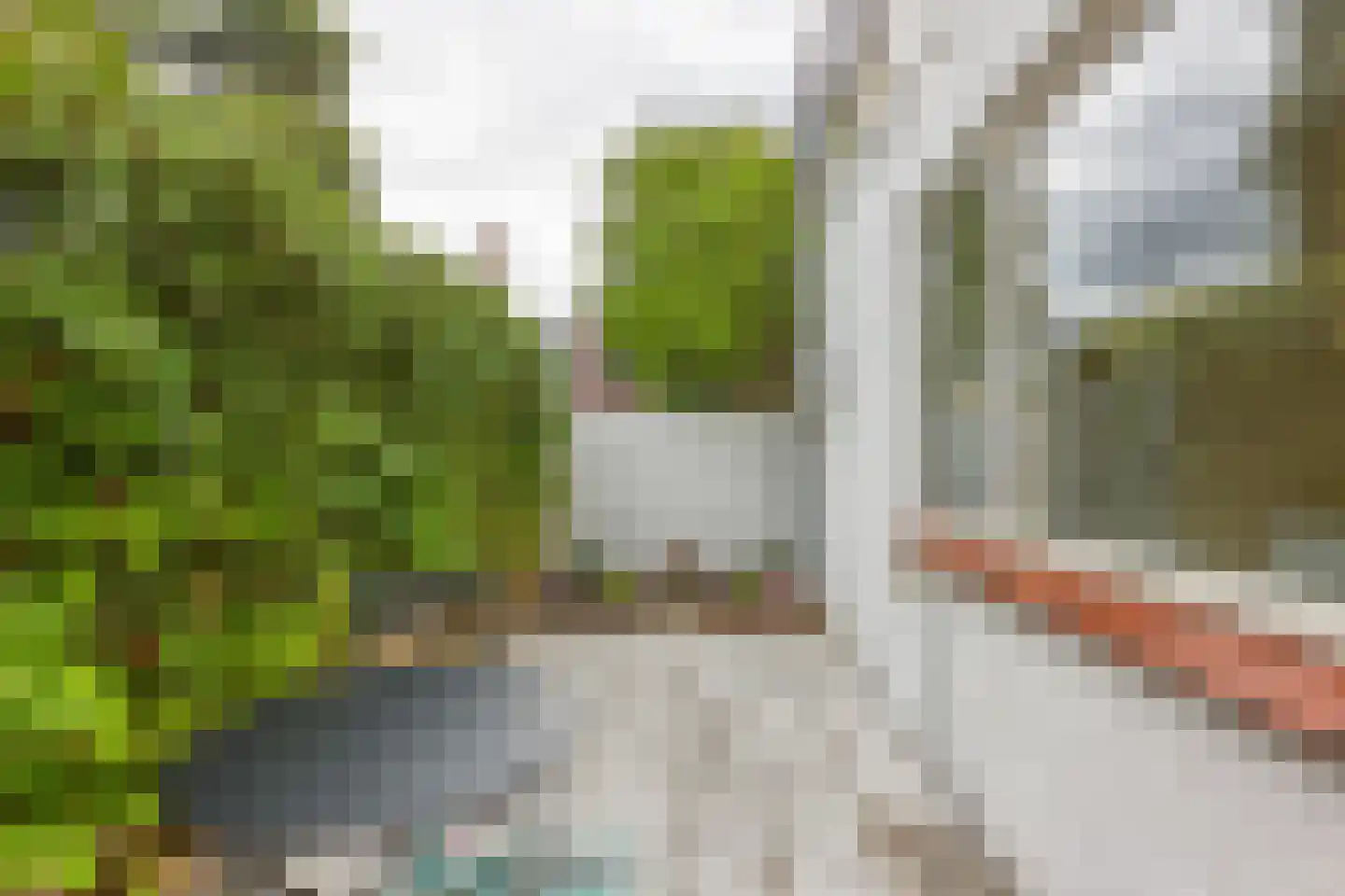 Nassaustraat 13 Leiden thumbnail 4