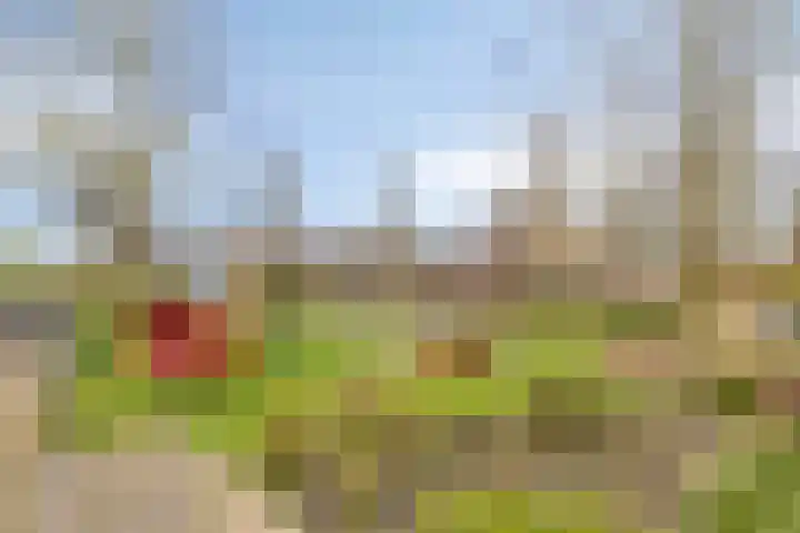 Nassaustraat 15 Breukelen thumbnail 37