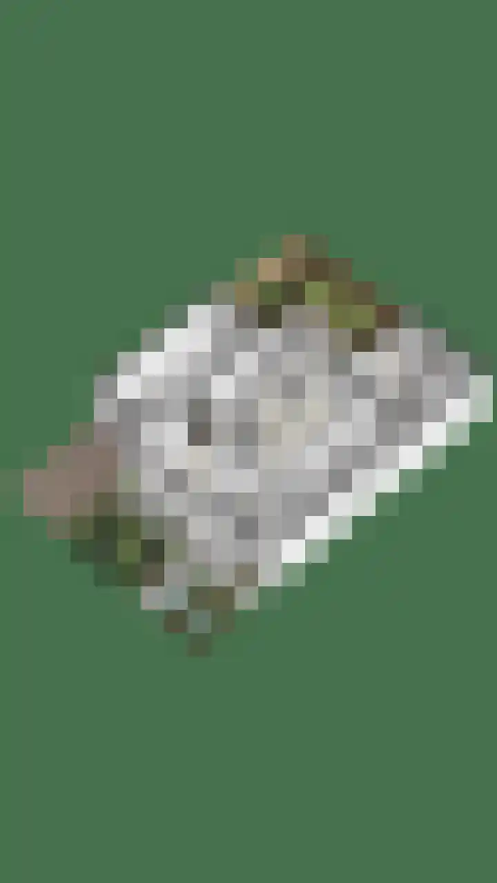 Nassaustraat 15 Breukelen thumbnail 46