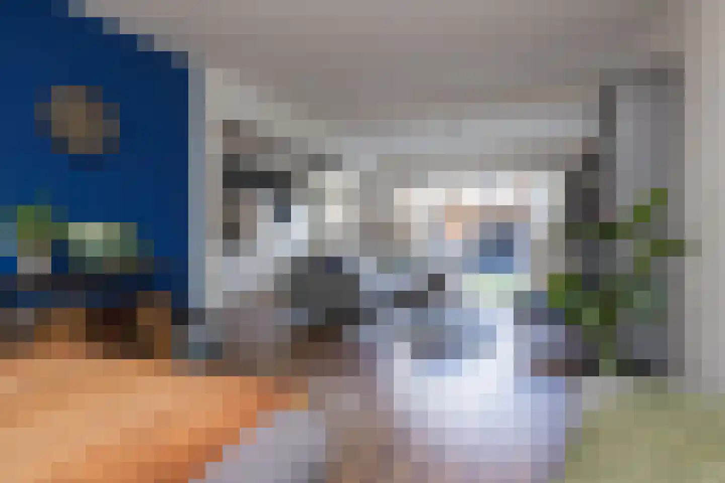 Nassaustraat 15 Lisse thumbnail 10