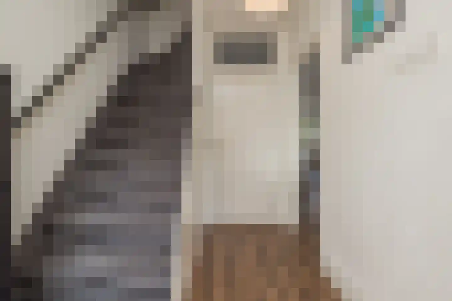Nassaustraat 15 Lisse thumbnail 19