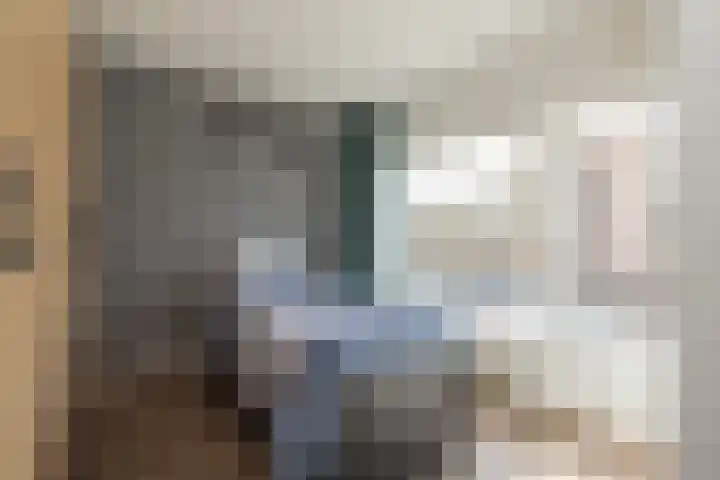 Nassaustraat 15 Lisse thumbnail 22