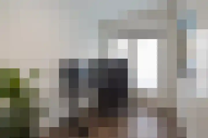 Nassaustraat 15 Lisse thumbnail 24