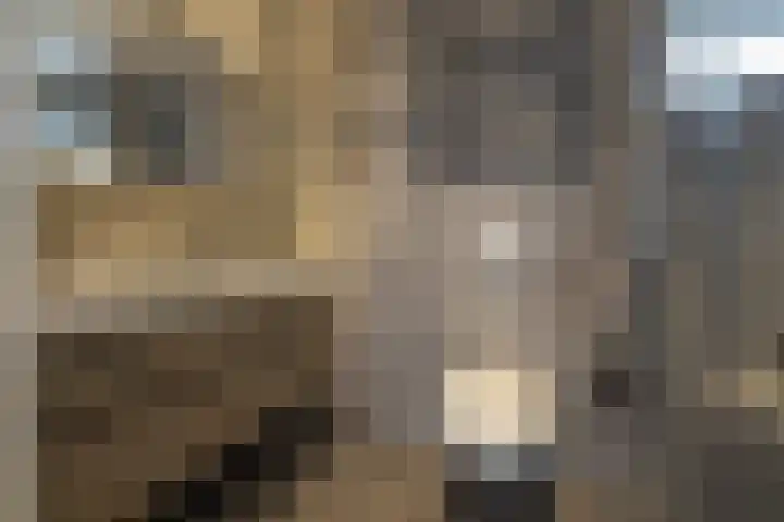 Nassaustraat 15 Lisse thumbnail 4