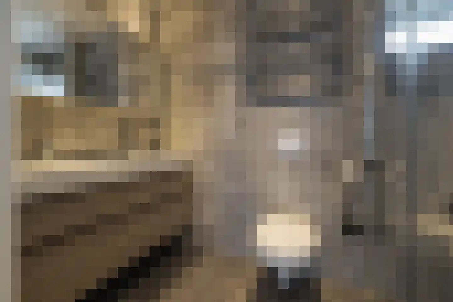 Nassaustraat 15 Lisse thumbnail 4