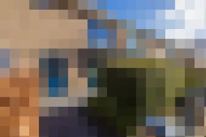 Nassaustraat 15 Lisse thumbnail 5