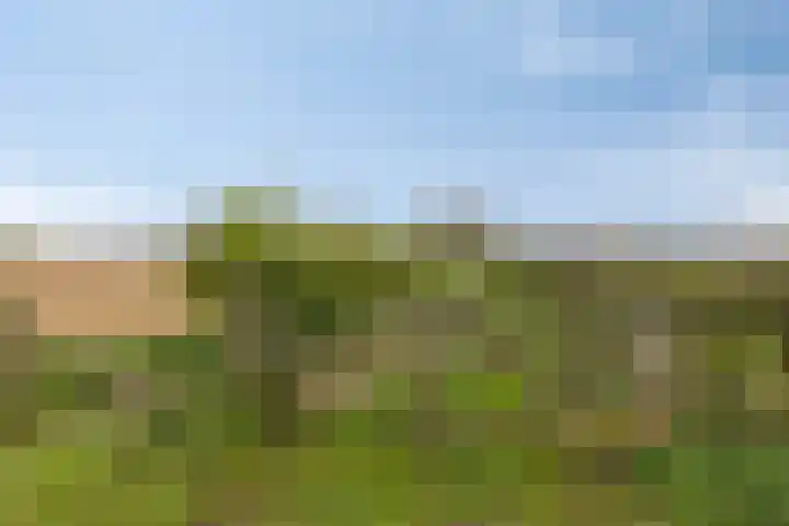 Nassaustraat 16 Ooij thumbnail 53