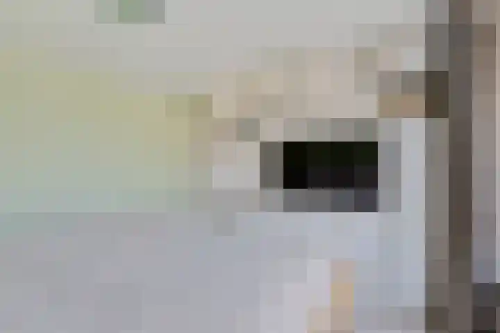 Nassaustraat 16 Terheijden thumbnail 17