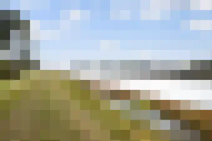 Nassaustraat 16 Terheijden thumbnail 33