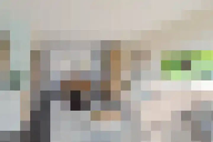 Nassaustraat 16 Terheijden thumbnail 8