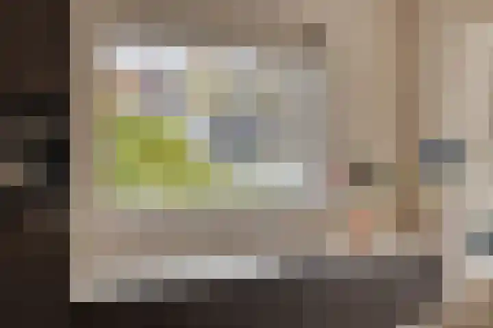 Nassaustraat 18 Son en Breugel thumbnail 12