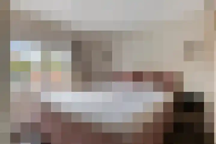 Nassaustraat 18 Son en Breugel thumbnail 17