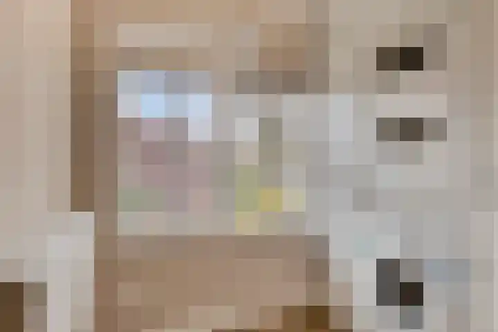 Nassaustraat 18 Son en Breugel thumbnail 20