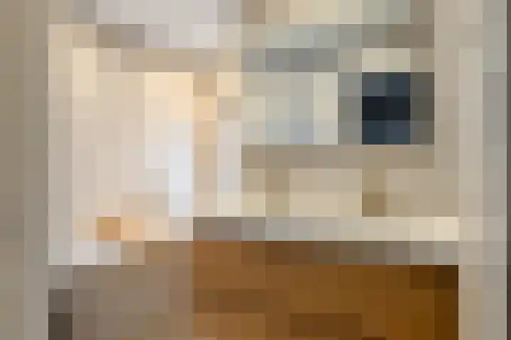 Nassaustraat 18 Son en Breugel thumbnail 22