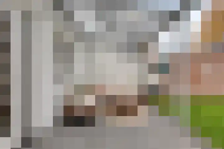 Nassaustraat 18 Son en Breugel thumbnail 26