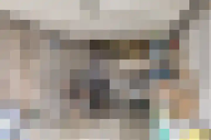 Nassaustraat 18 Son en Breugel thumbnail 30