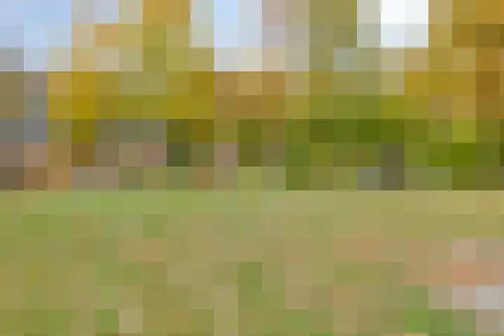 Nassaustraat 18 Son en Breugel thumbnail 33