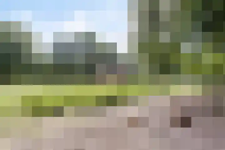 Nassaustraat 18 Son en Breugel thumbnail 34