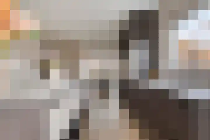 Nassaustraat 18 Son en Breugel thumbnail 4