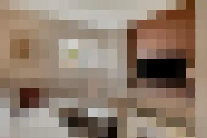 Nassaustraat 18 Son en Breugel thumbnail 5