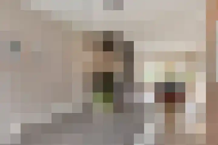 Nassaustraat 18 Son en Breugel thumbnail 6