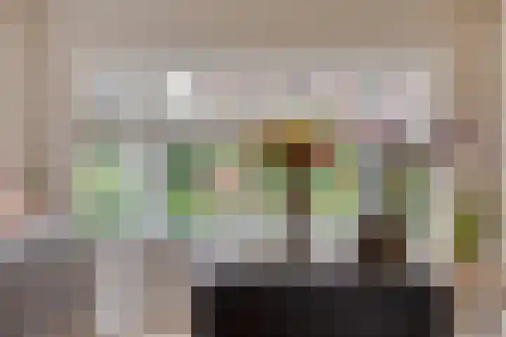 Nassaustraat 18 Son en Breugel thumbnail 9