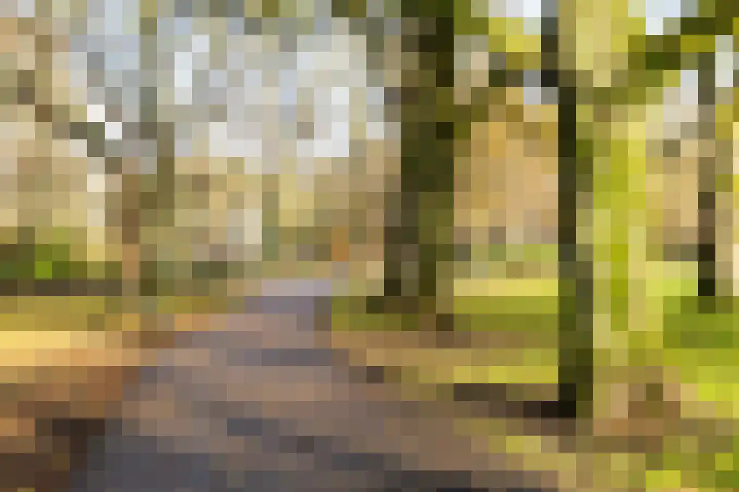 Nassaustraat 18 Utrecht thumbnail 10