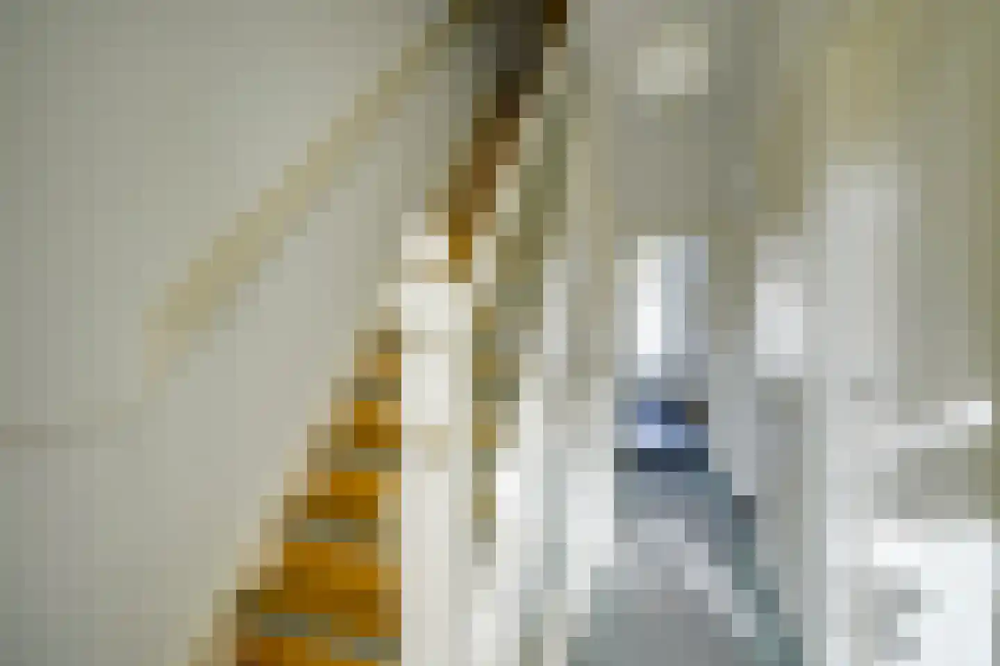Nassaustraat 18 Utrecht thumbnail 15