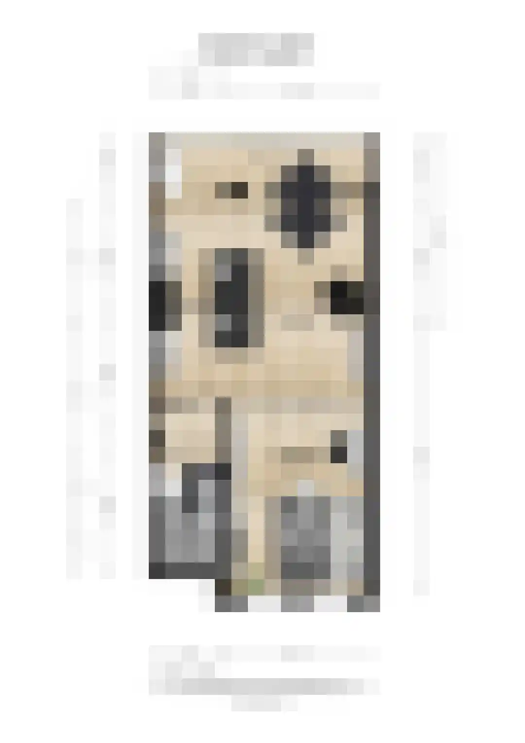 Nassaustraat 18 Utrecht thumbnail 25