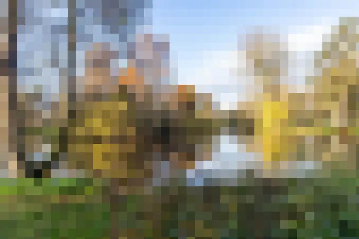 Nassaustraat 18 Utrecht thumbnail 8