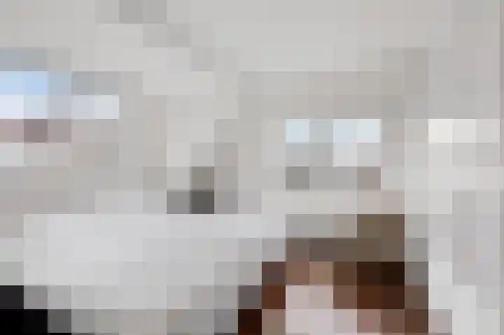 Nassaustraat 18 Velp thumbnail 17