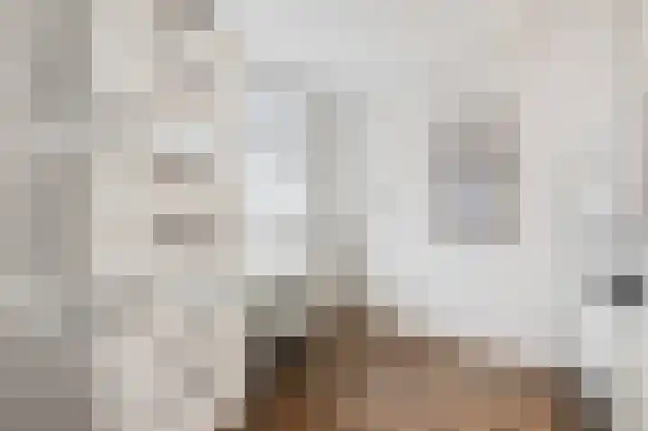 Nassaustraat 18 Velp thumbnail 18