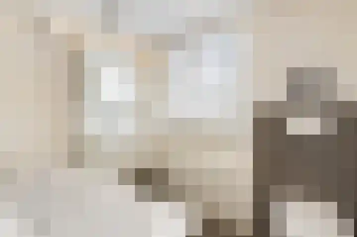 Nassaustraat 18 Velp thumbnail 20