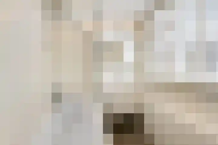 Nassaustraat 18 Velp thumbnail 21