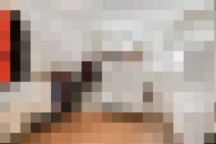 Nassaustraat 18 Velp thumbnail 23