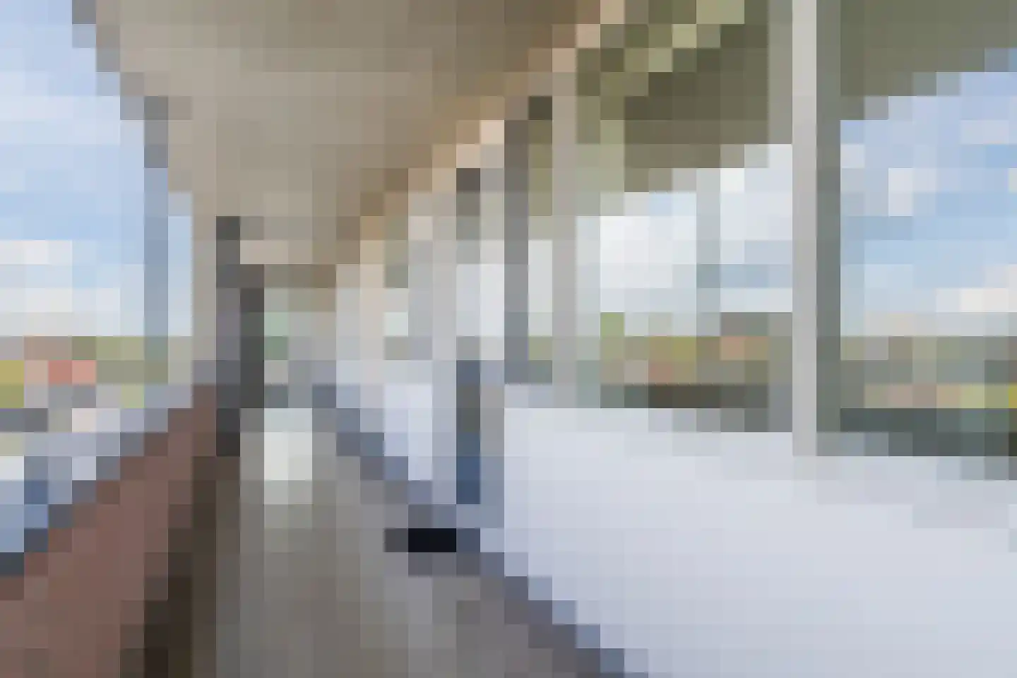 Nassaustraat 186 Lisse thumbnail 8