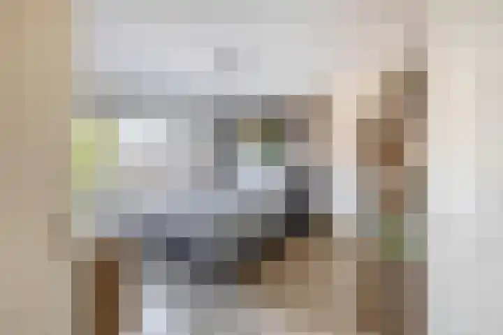 Nassaustraat 19 Lisse thumbnail 16