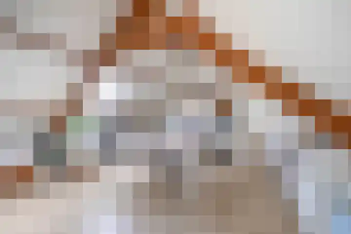 Nassaustraat 19 Lisse thumbnail 28