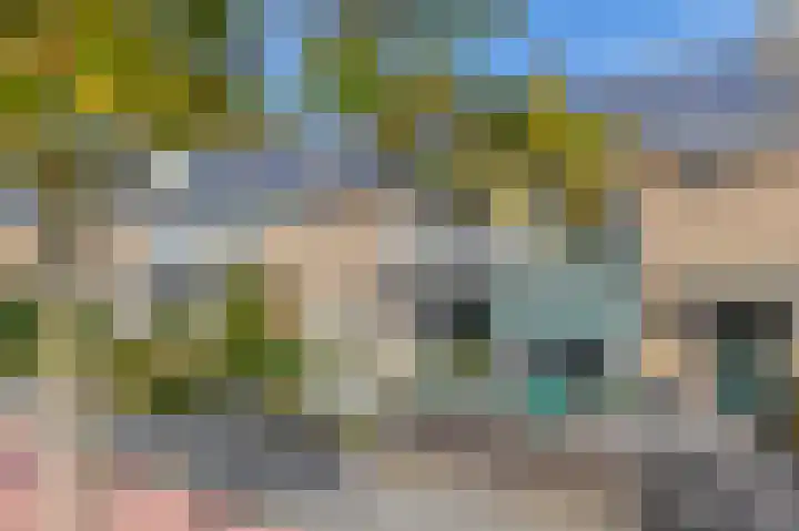 Nassaustraat 19 Lisse thumbnail 37
