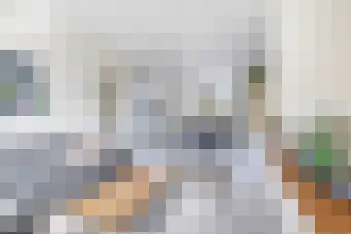Nassaustraat 19 Lisse thumbnail 5